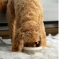 thumbnail image 3 of Waggo Dipper Ceramic Dog Bowl For Small And Large Breeds - Heavyweight And Durable Pet Food And Water Dish Crock Dishwasher Safe Modern (Vintage Grey Small), 3 of 4