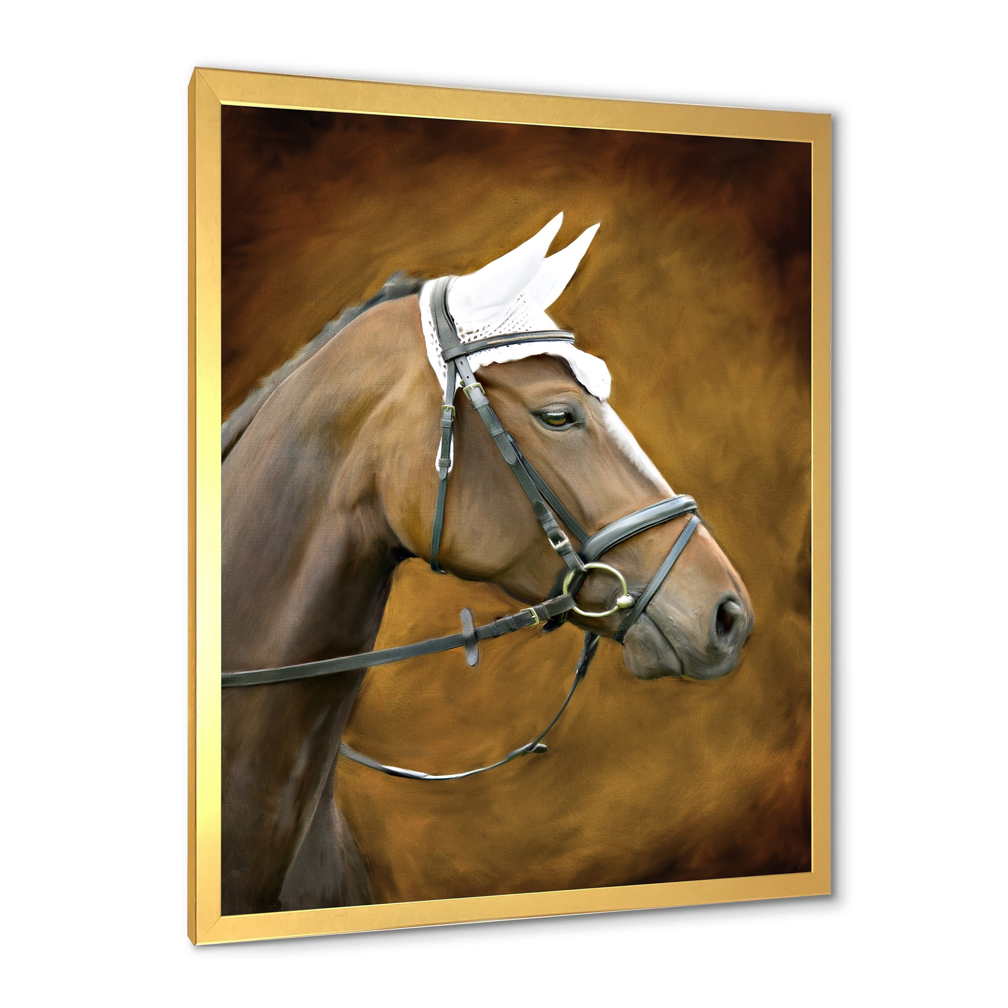 Designart 'Close Up Portrait Of Brown Horse With White Ears' Farmhouse Framed Art Print