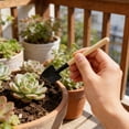 thumbnail image 2 of Mini Garden Tools - Indoor Plant Tools - 3 Piece Garden Tool Set Small Hand Tools for Gardening 6.8 Inch for Planting Flowers Black Size:L, 2 of 6