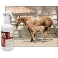 thumbnail image 3 of Equine Natural Fly and Tick Spray; 8 oz, 3 of 4