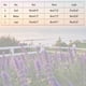 thumbnail image 3 of Ailaofu Women's Long Sleeve Tops Crewneck Pullover Sweater Basic Casual Solid Color Tunic Tops Fall Soft Sweater, 3 of 5