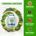thumbnail image 2 of Orgain® Organic Protein™ + Greens Powder - Plant Based Creamy Chocolate Fudge, 2 of 9