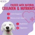 thumbnail image 7 of Café Nara Beef Broth Meal Topper for Dogs and Cats - 1.1 lbs. (Pack of 12), 7 of 7