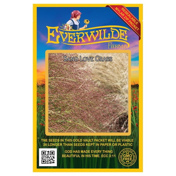 Everwilde Farms - 1000 Sand Love Grass Native Grass Seeds - Gold Vault Seed Packet