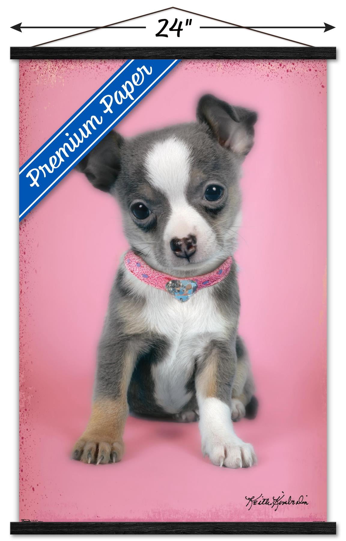 Keith Kimberlin - Puppy on Pink Background Wall Poster with Wooden Magnetic Frame, 22.375" x 34"