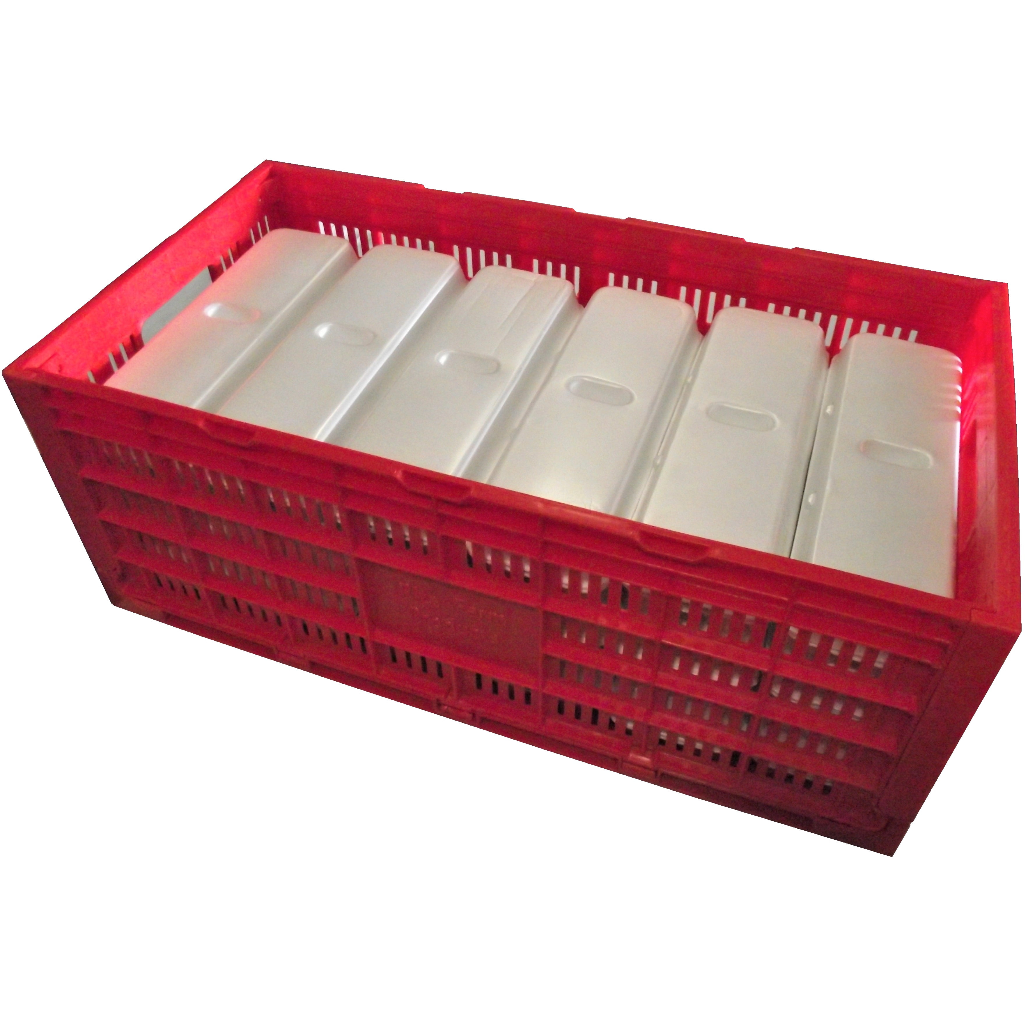 RITE FARM PRODUCTS EGG TRAY CARTON TRANSPORT CRATE CHICKEN SHIPPING POULTRY CASE