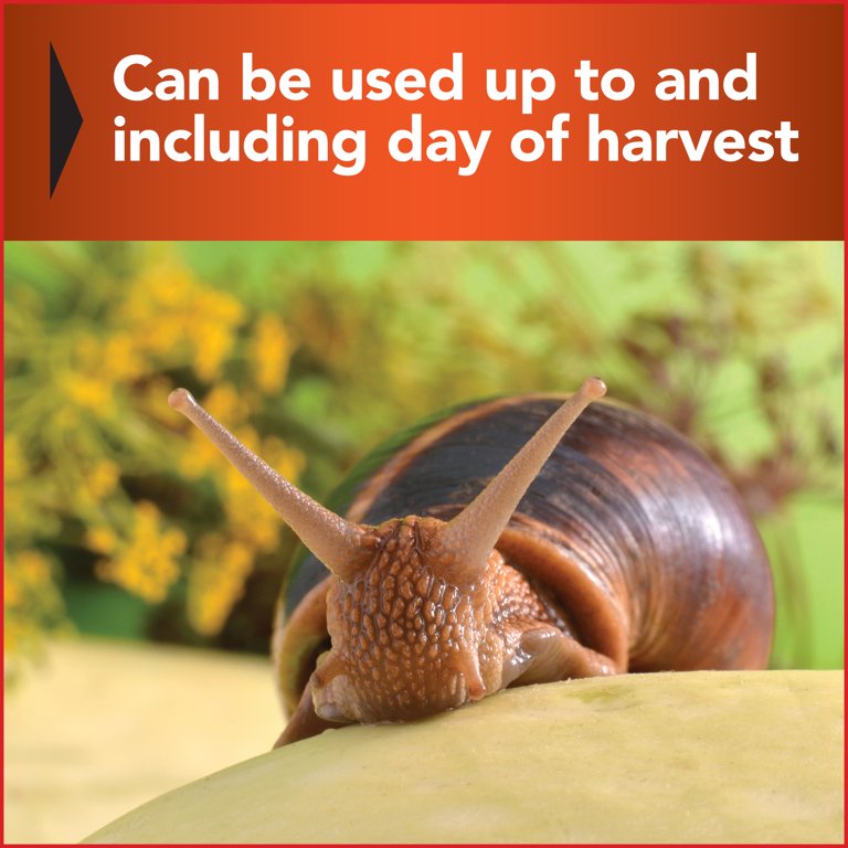 Sure Ways To Get Rid Of Snails And Slugs In Your House And, 51 OFF