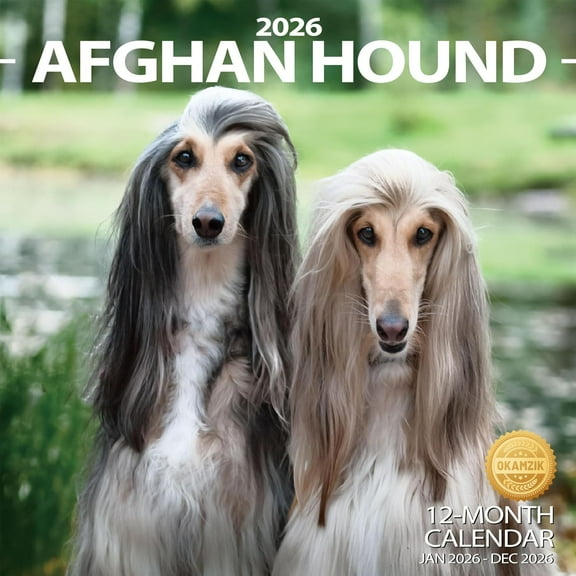 2026 Wall Calendar Afghan hound Planner Calendar, Hangable Monthly Wall Calendar with Large Blocks for Organizing & Planning, Academic Schedule, Home, Office & family