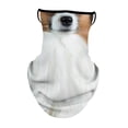 thumbnail image 3 of Ximing Neck Gaiter Face Covering Face Gaiter Face Cover Animal Pattern Nose Mouth Neck Coverage for Running Hiking Riding A, 3 of 10