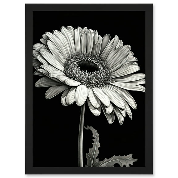 Black and White Pencil Drawing of a Gerbera Flower Artwork Framed Wall Art Print A4