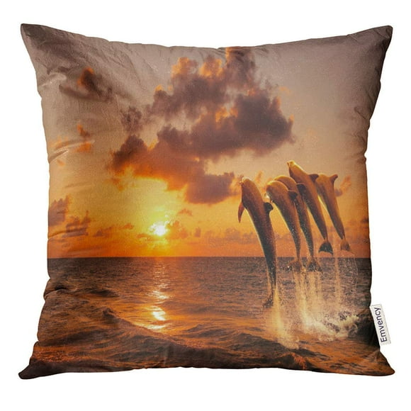 BSDHOME Red Tenerife Beautiful Sunset with Dolphins Jumping Sunrise Pillow Case 20x20 Inches Pillowcase