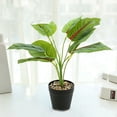 thumbnail image 4 of Plantas Artificiales Inteprter JH5477 Decoración para el Hogar, 4 of 6