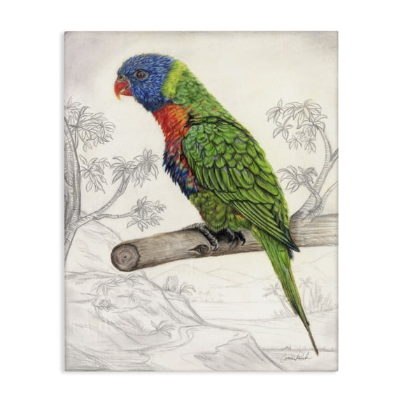 Stupell Industries Transitional Lorikeet Sketched Nature Canvas Art, 16 x 20, by Connie Resch