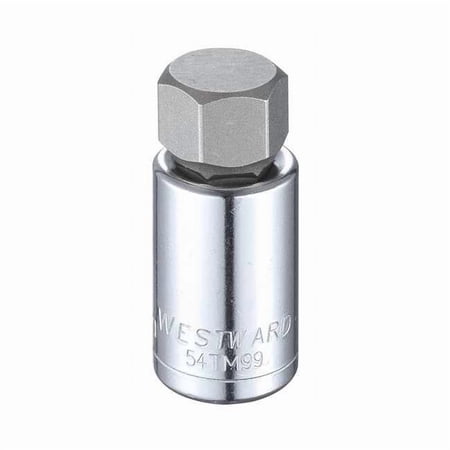 1/2 in Drive Hex Socket Bit Metric 19 mm Tip, 2 1/4 in L 54TM99