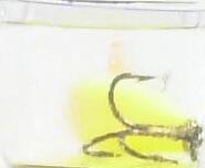 Storm Original Jr. Thunderstick Deep Jerkbait 3 1/2" Fishing Lure 5/16oz Solid Chartreuse