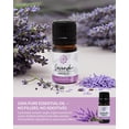 thumbnail image 3 of Essence Lavender Essential Oil, 5 mL – Aromatherapy Oil for Diffuser and Home Use, 3 of 8