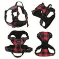 thumbnail image 5 of DABEI ISafe and Stylish Reflective Dog Harness and Leash Set for Nighttime Walks, 5 of 10