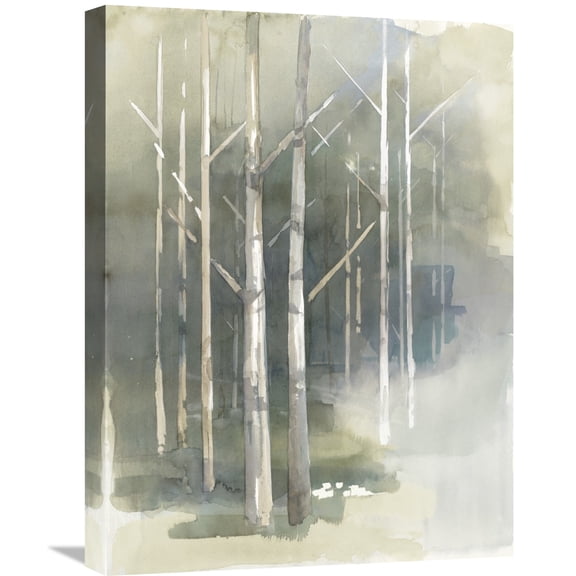 Global Gallery Avery Tillmon 'Birch Grove II Crop' Canvas Wall Art