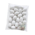 thumbnail image 1 of Rongfmy Fake Eggs Blank Hanging Ornament for Home Decorating Holiday School Projects Color Hook 24, 1 of 9