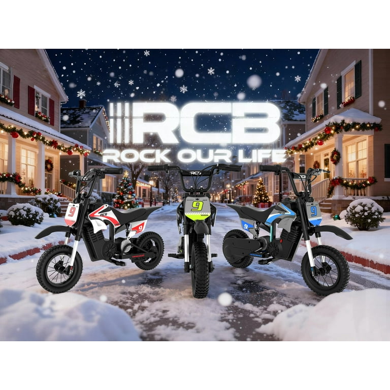 RCB 750W Electric Bike, 48V/15Ah Removable Li-Ion Battery, 20