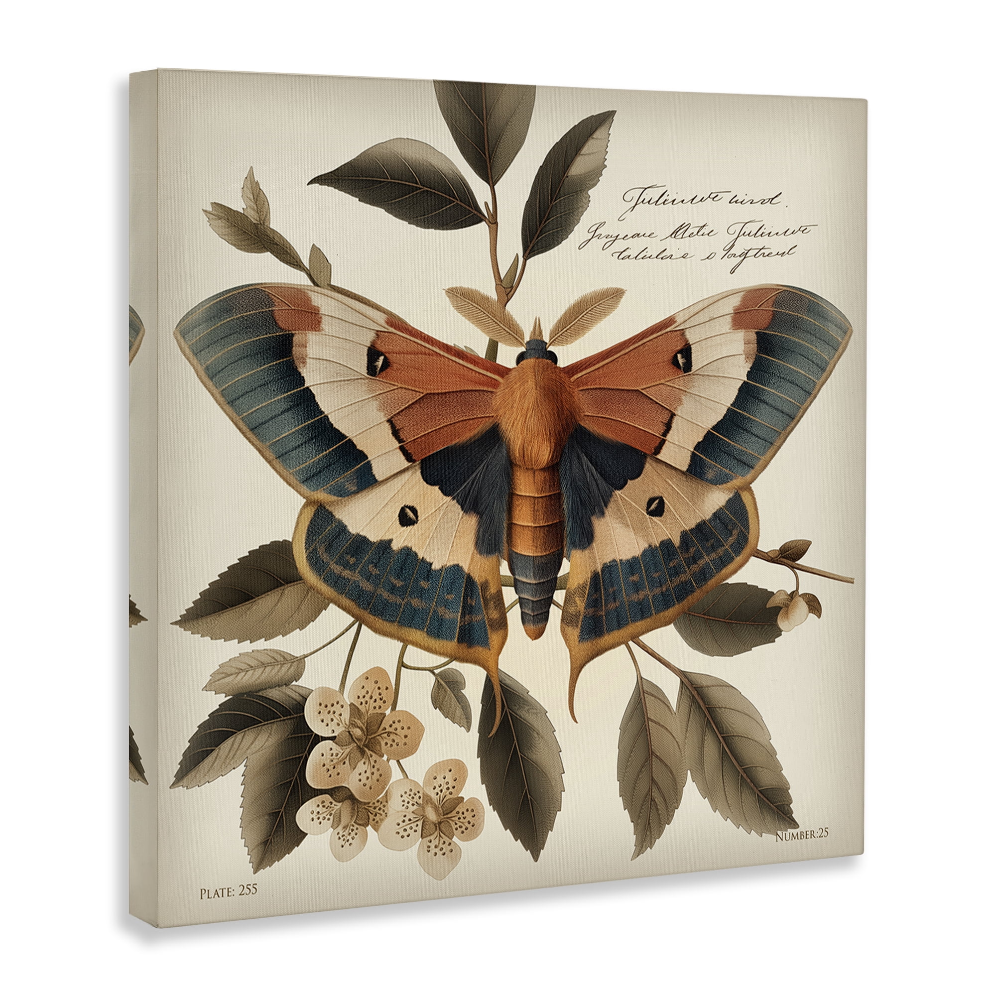 Stupell Industries Enchanting Moth & Plant Animals Painting Wrapped Canvas Art Print Wall Art, 17 x 17