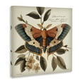 thumbnail image 4 of Stupell Industries Enchanting Moth & Plant Animals Painting Wrapped Canvas Art Print Wall Art, 17 x 17, 4 of 8