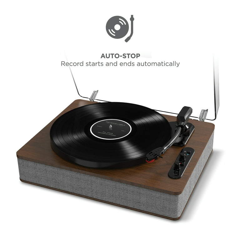 ION BT対応 オールインワンミュージックプレーヤー Superior LP