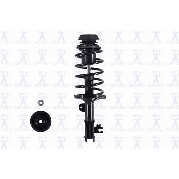Suspension Strut and Coil Spring Assembly