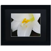 Trademark Fine Art "One Word" Canvas Art by Monica Mize, Black Matte, Black Frame