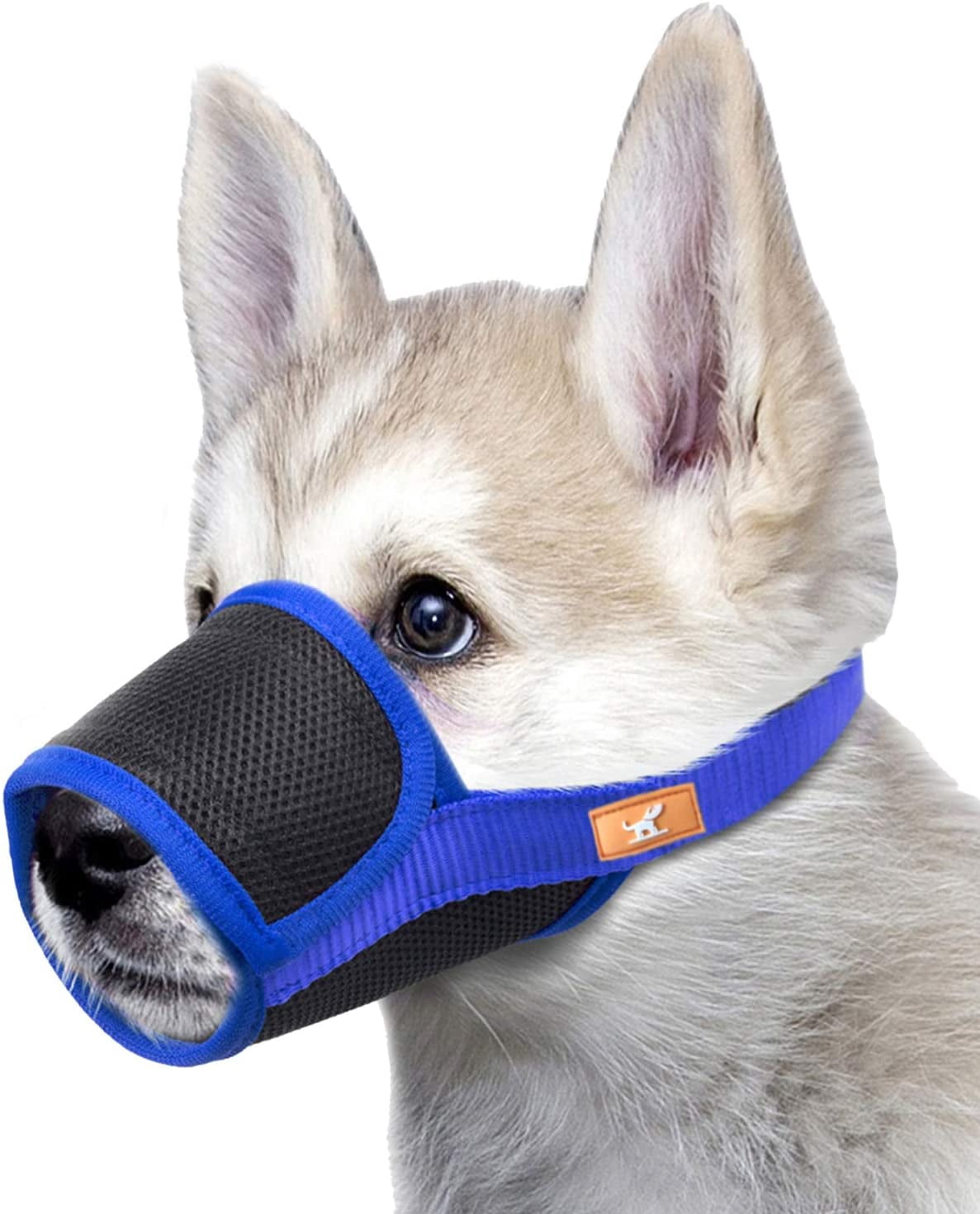 using a muzzle to stop biting