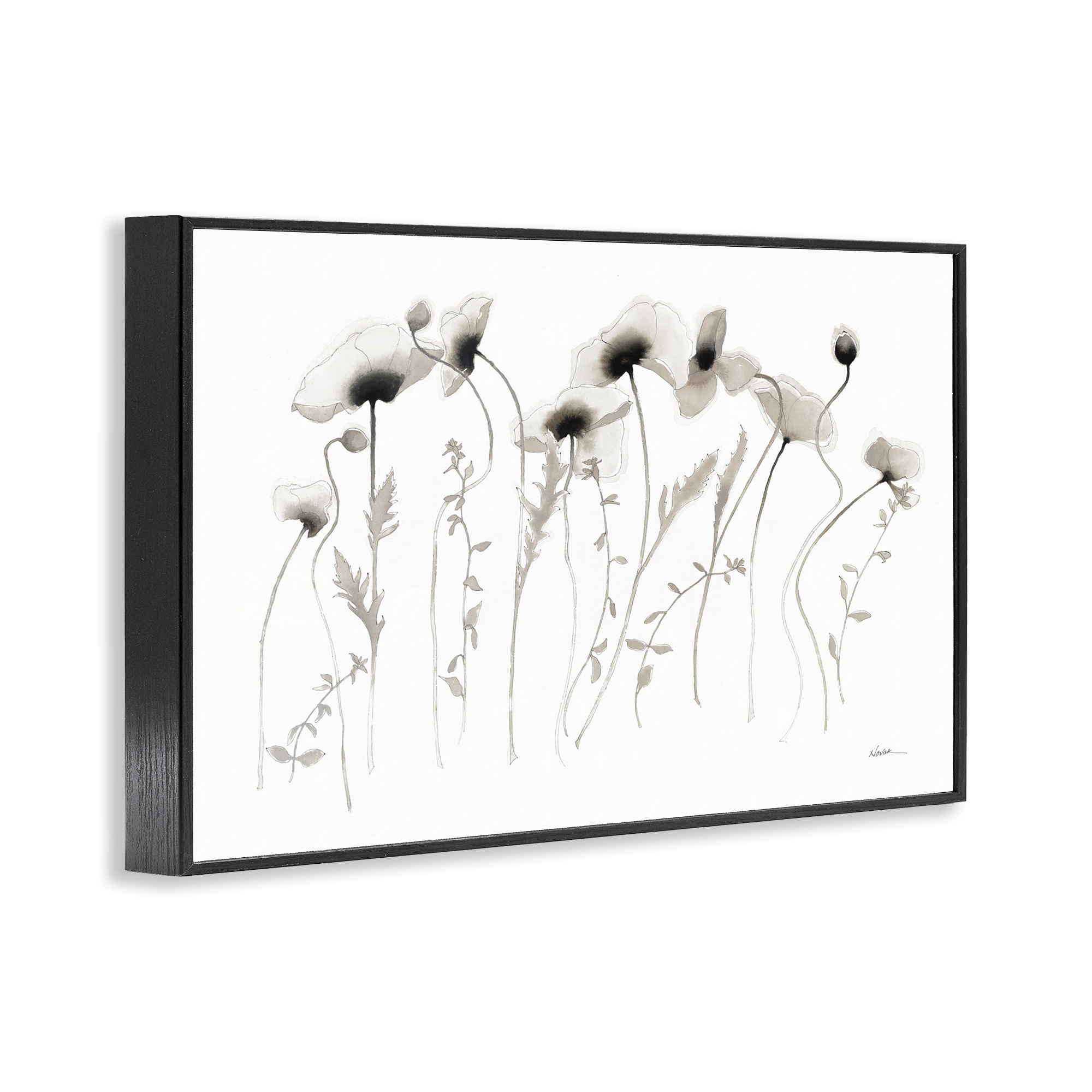 Stupell Industries White Poppy Sprigs Botanical & Floral Painting Black Framed Art Print Wall Art, 30 x 20