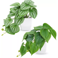 thumbnail image 1 of Plantas Artificiales Decorativa Bonsai Con Macetas 2 Pcs blanco/verde, 1 of 5