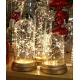 Glass Display Dome Cloche with Suspended LED Fairy Lights 6.5 High