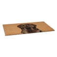 thumbnail image 2 of Calloway Mills 109471729 Brown Labrador Doormat 17" x 29", 2 of 7