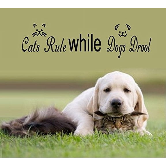 Decal ~ Cats Rule while Dogs Drool ~ WALL DECAL, 8" X 30"