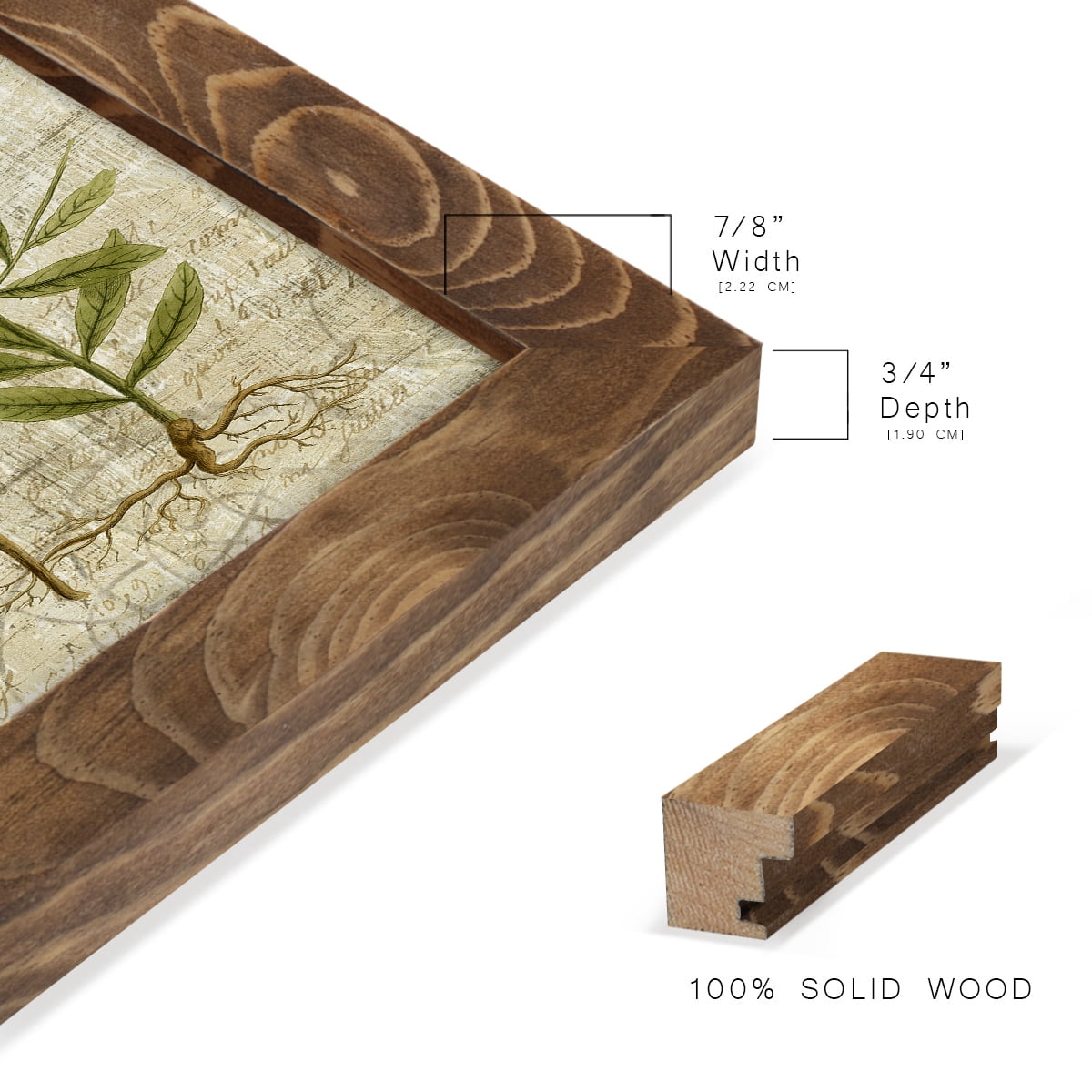 Garden Verses I -Framed Print w/glass-Walnut