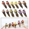 thumbnail image 4 of 12 pájaros artificiales de plumas de burbujas para decoración de árbol de Navidad en Sora Woodland Acortar, 4 of 9