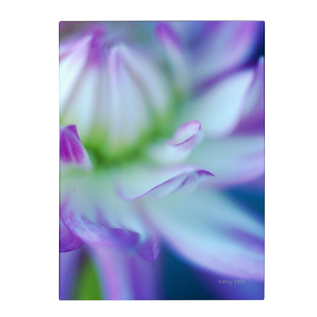 Trademark Fine Art 'The Color Purple' Canvas Art by Kathy Yates