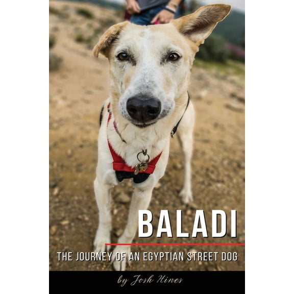 Baladi: The Journey of an Egyptian Street Dog, (Paperback)