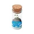thumbnail image 1 of Small Green Bonsai Plant Pots Green Plants Housewarming Gift Blue, 1 of 8