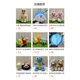 thumbnail image 5 of Disney-almohada para dormir de muñeca, muñeco blanco grande Original, sueño reparador, muñeco de peluche, 5 of 5