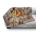 thumbnail image 3 of Ocean Soft Flannel Fleece Throw Blanket, Clown Fish Swimming in Tentacles in Pacific Ocean Bali Indonesia Marine Wildlife, Cozy Plush for Indoor and Outdoor Use, 50" x 60", Beige Orange, by Ambesonne, 3 of 6