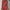 Pink, variant on Sakmal Bikini Sets for Women Casual Green Cheeky Two Piece Swimwear Push Up Triangle Padded Swimsuit Sets