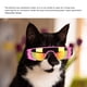 thumbnail image 4 of Gafas de sol para Mascotas ANGGREK Protección UV banda elástica ajustable para perros pequeñas, 4 of 8