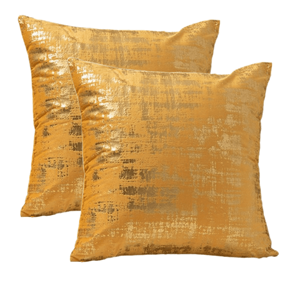 2 Pack 18x18 Pillow Cover Velvet Pillow Covers, Square Throw Pillow Covers for Living Room Decorations Throw Pillow Case, Throw Pillow Cover Cushion Cover for Home Sofa Bedroom Car