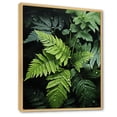 thumbnail image 2 of Designart "Ferns Plant Monochrome Euphony III" Floral & Botanical Floater Framed Canvas Wall Art, 2 of 7
