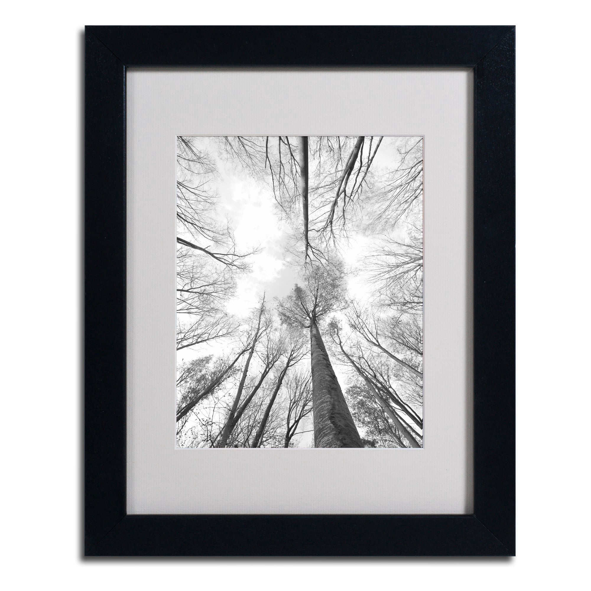 Trademark Fine Art "Recall the Days" Canvas Art by Philippe Sainte-Laudy, Black Frame