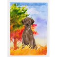 thumbnail image 1 of Carolines Treasures CK1951GF Fall Chocolate Labrador Retriever Garden Size Flag, 1 of 3