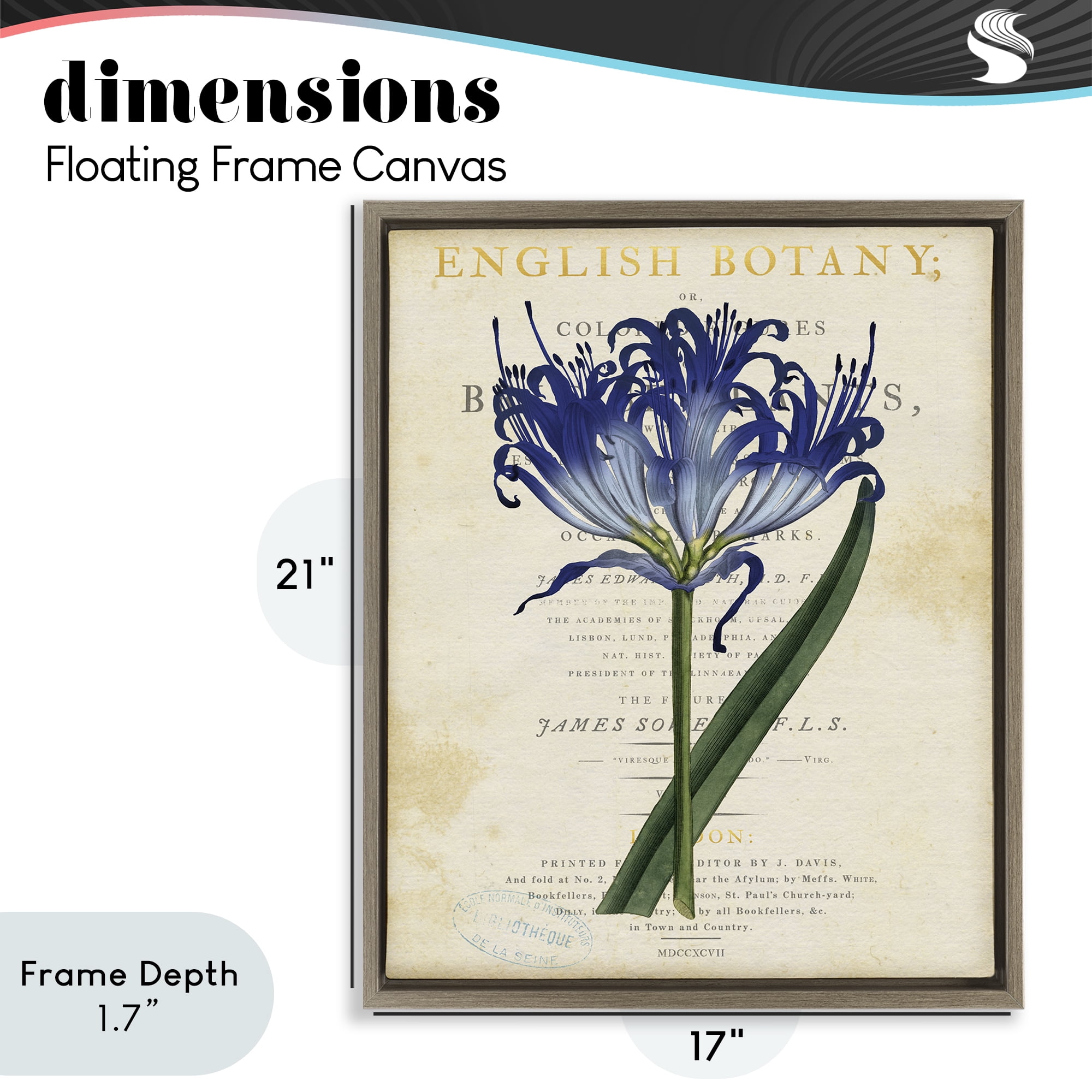 Stupell Industries English Botany Blue Floral Brown Framed Floater Canvas Wall Art, design by Susan Arnot