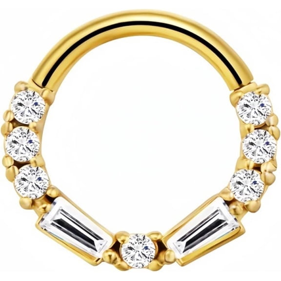 Septum Quality Ring Gold 16G Daith Piercing Jewelry Cz 316 Surgical Steel Hinged Segment Cartilage Hoop Earrings for Daith, Tragus, Rook Piercing Jewelry 8-10mm[p471]